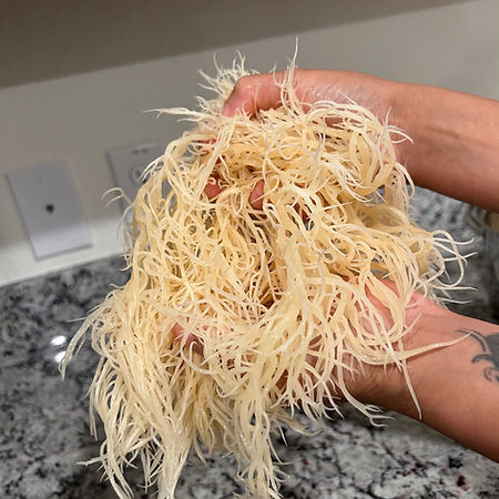 Sea Moss