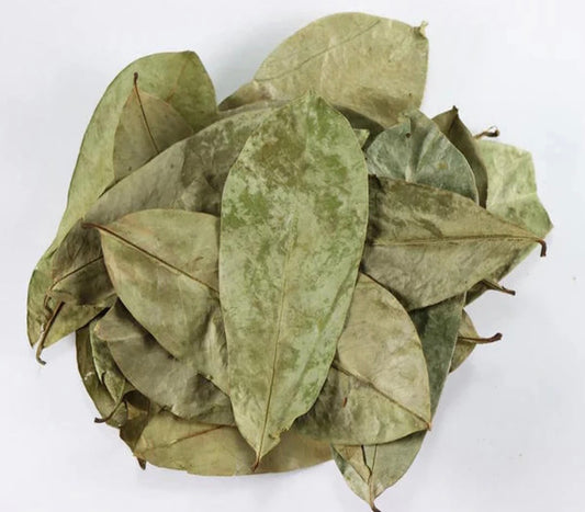 Soursop Leaves